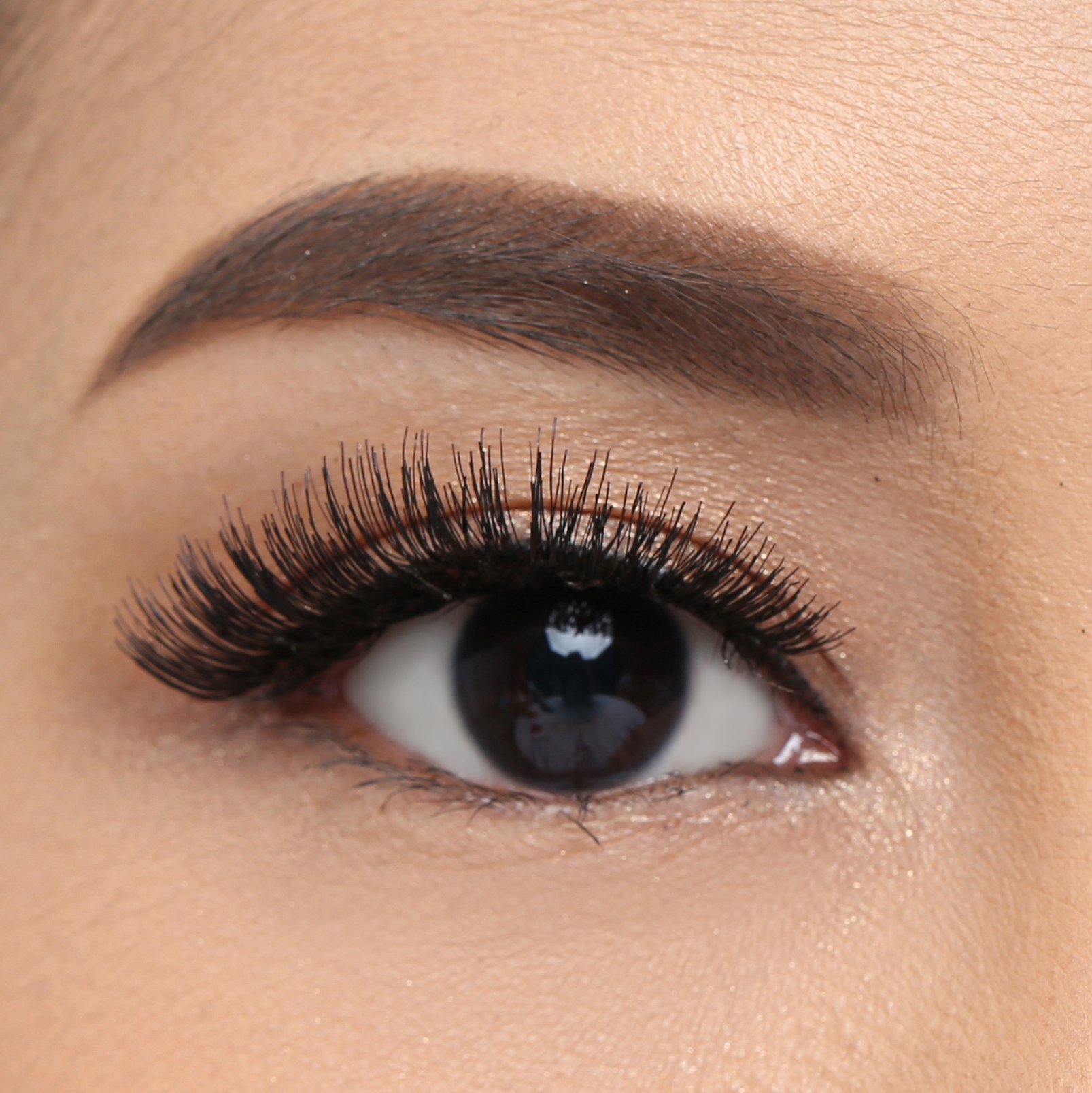 Glamour 121 - Image 5