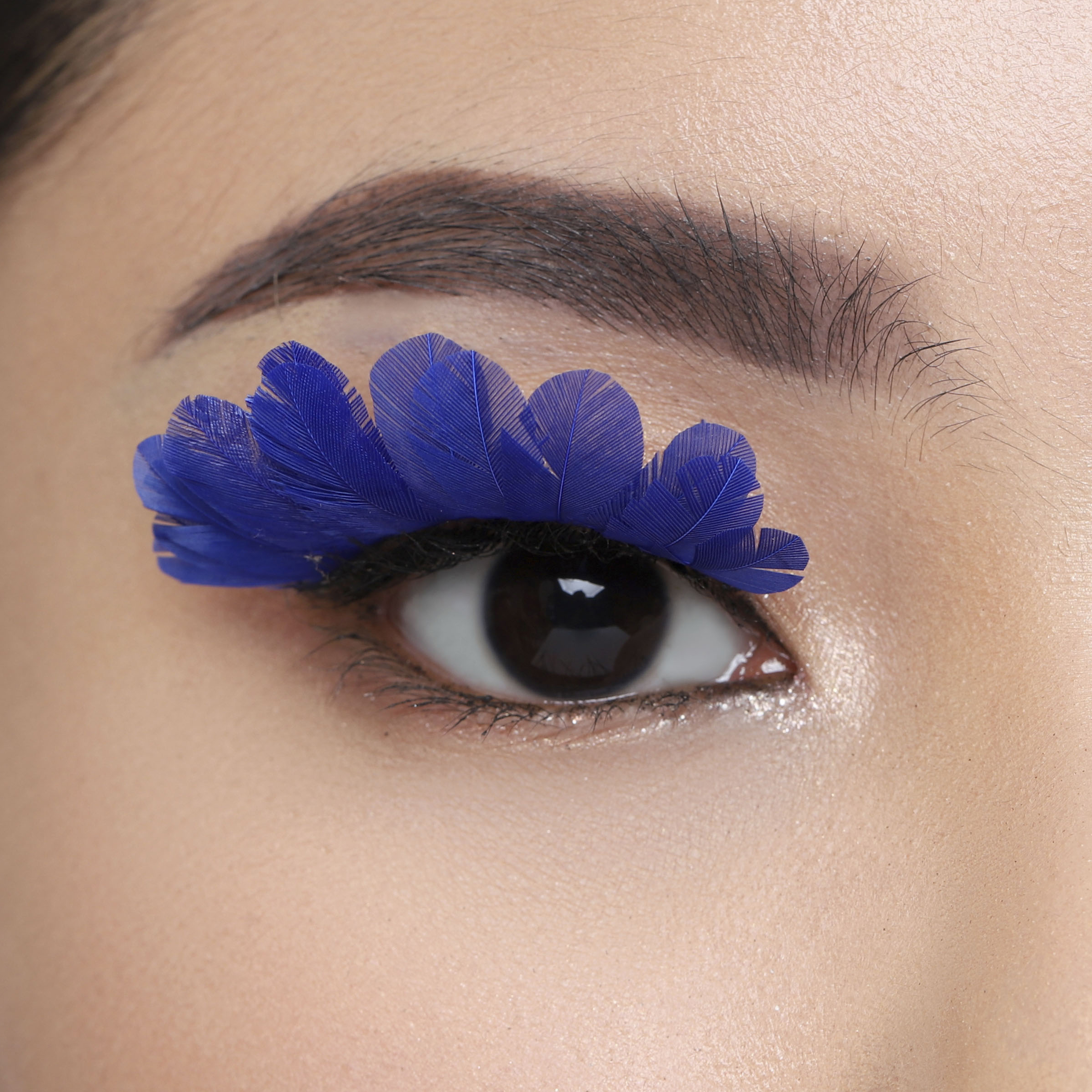 Pro 1134 - Image 5