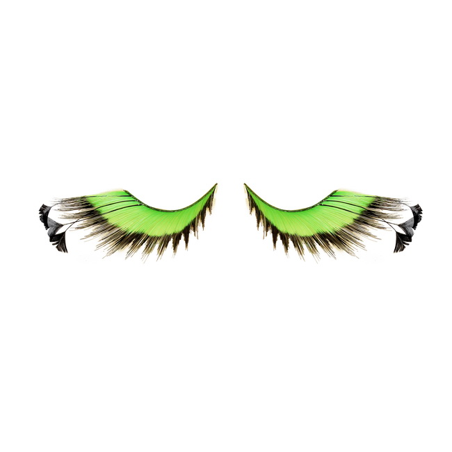 Pro 1168 - Image 2