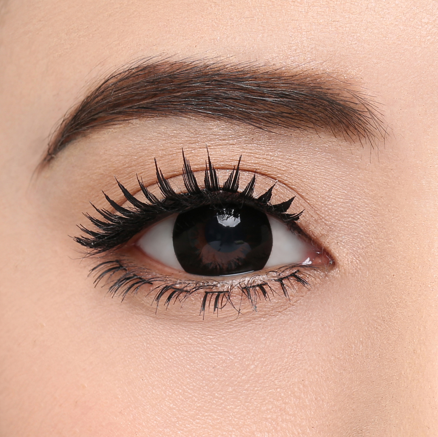 Pro 5099 - Image 4
