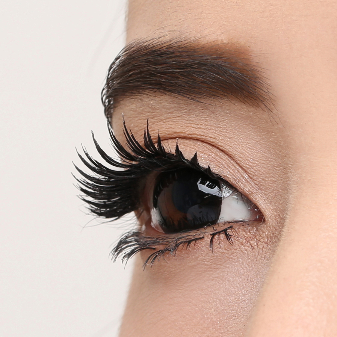 Pro 5099 - Image 5